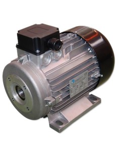 MOTOR 4 CV E/H 3-230/400V 1.450 RPM Ø.24 mm 100